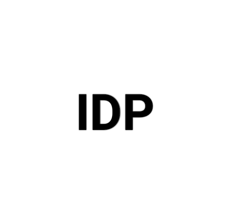 IDP(计算机网路术语)