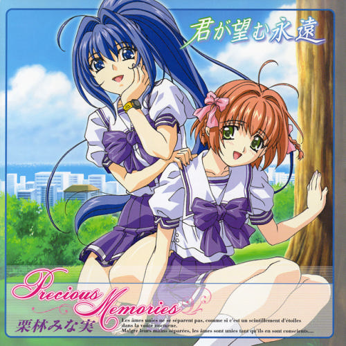 Precious Memories(栗林美奈实演唱《你所期望的永远》OP)