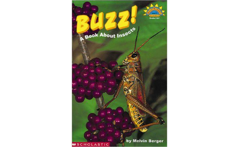 Buzz!: A Book About Insects （精装）