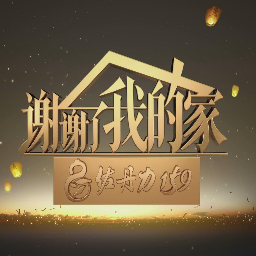 谢谢了，我的家(央视家庭文化传承节目)