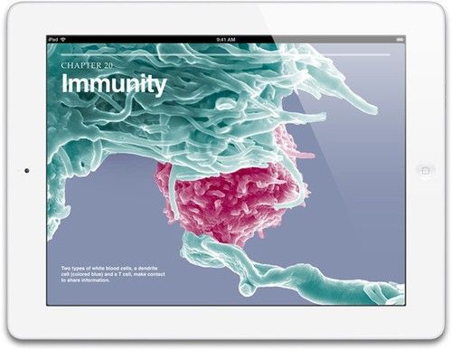 iPad iPad