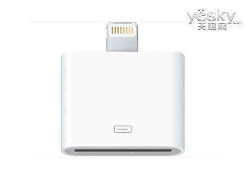 价格不菲的30Pin转接头
