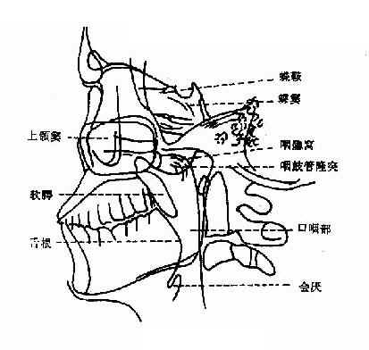 耳鼻咽喉科疾病的影像诊断
