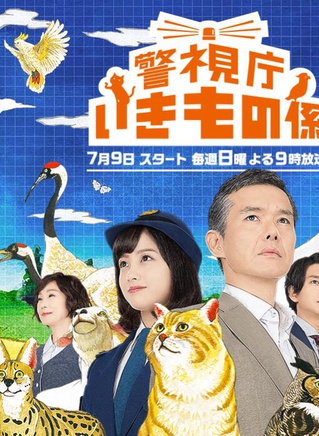 樱田通