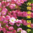 古词名篇钢笔字帖