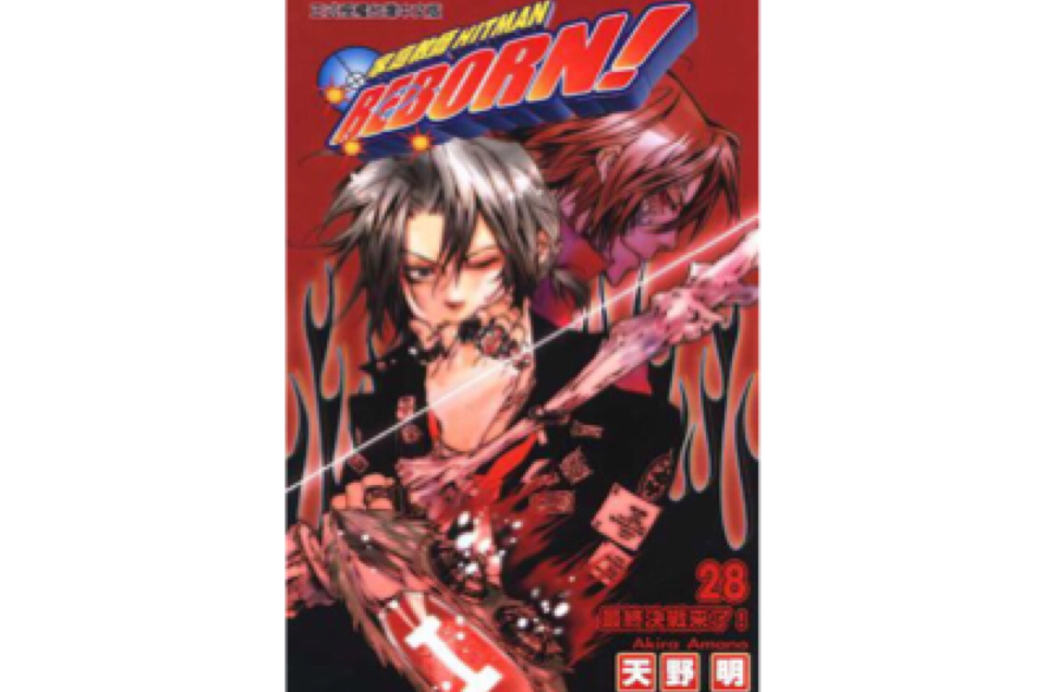 家庭教师HITMAN REBORN!(28)