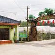 高邮连标葡萄园
