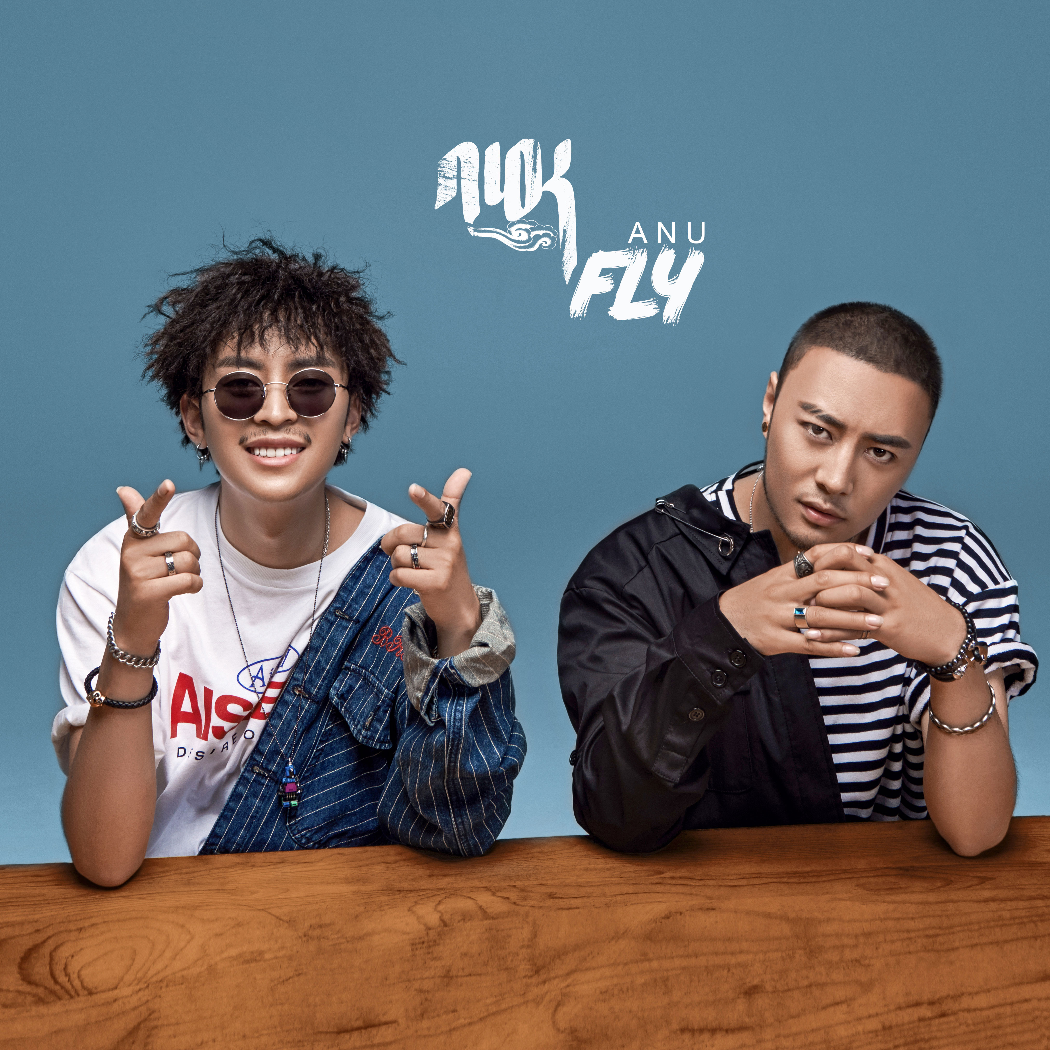 fly(ANU演唱的歌曲)