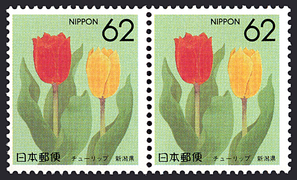 新潟县 新潟县