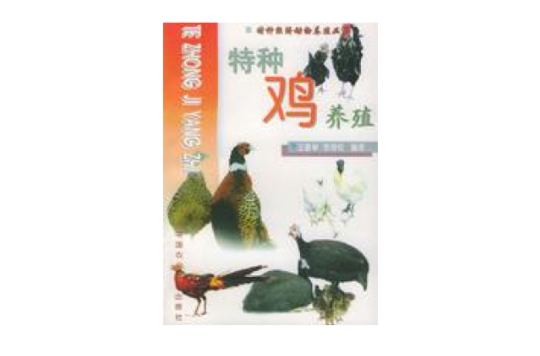 特种鸡养殖
