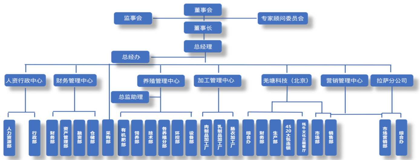 组织架构 组织架构