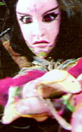 剑禽