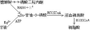 软硬酸硷理论
