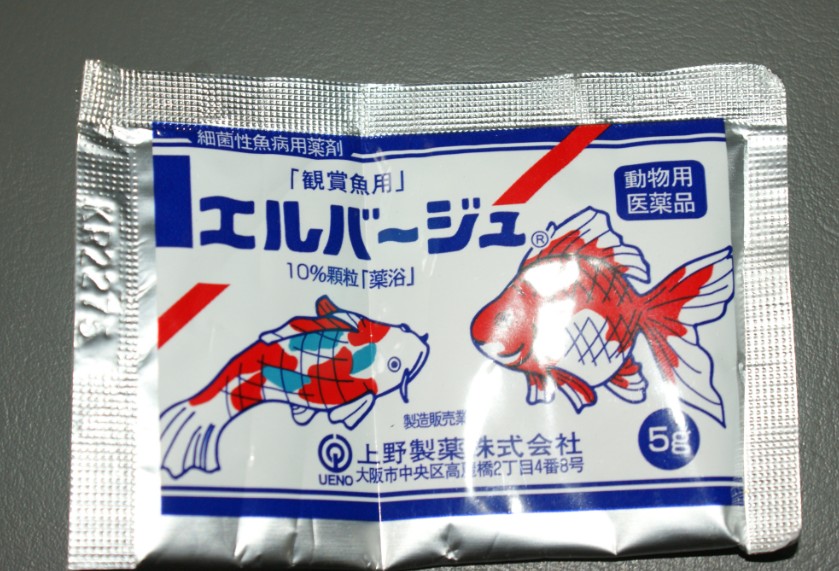 日本黄粉 日本黄粉
