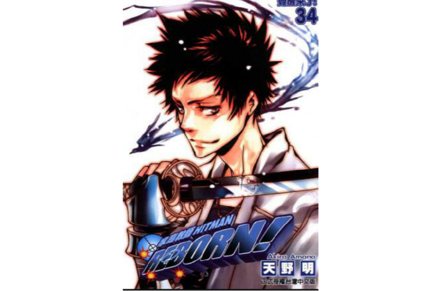 家庭教师 Hitman Reborn! Vol.34