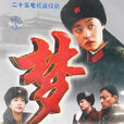 梦开始的地方(1999年刘蓓主演电视剧)