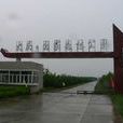 黑龙江大庆国家森林公园