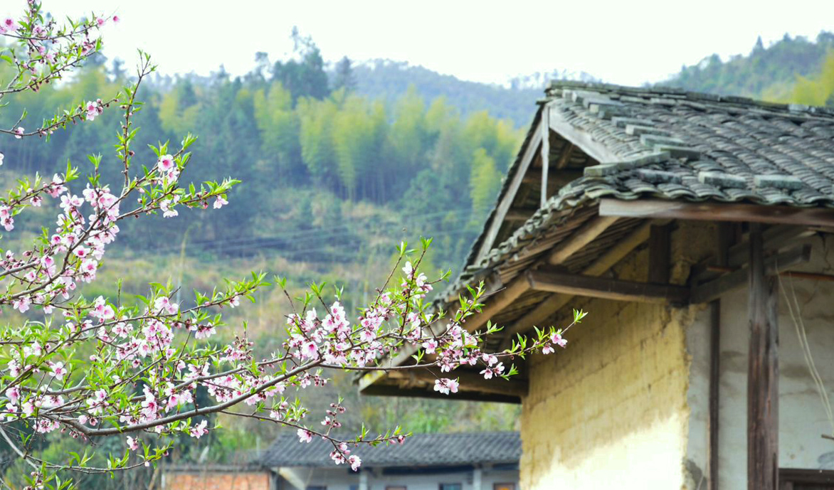高溪村 高溪村