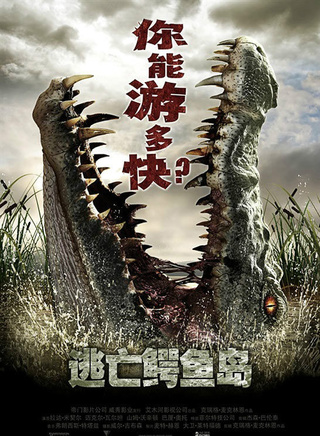 米娅·华希科沃斯卡