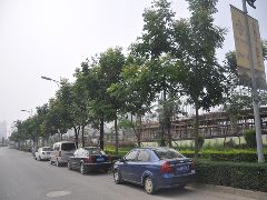 周边图 周边图