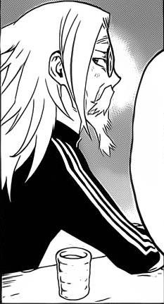 双星之阴阳师(助野嘉昭着作的漫画)