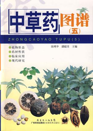 常用中草药图谱 常用中草药图谱