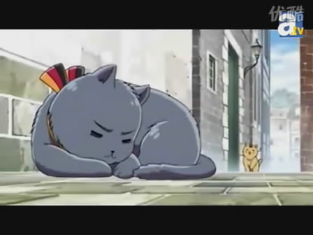 猫版路德