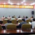 成都市人民政府关于做好大中型水库移民后期扶持工作的意见