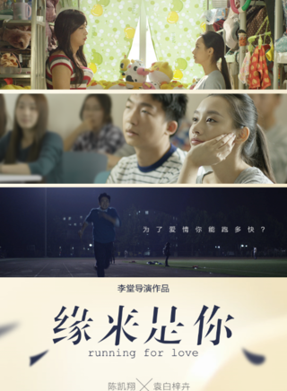 袁百梓卉