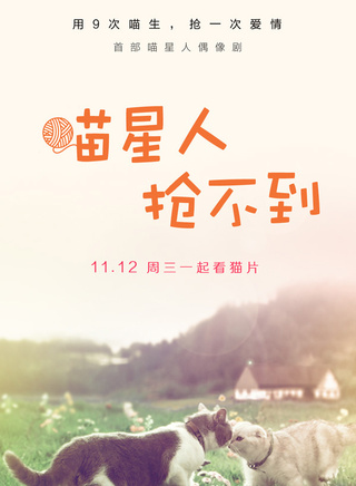 叶芸菲