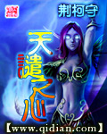 天谴之心 天谴之心