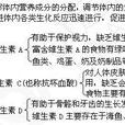 维生素C+E
