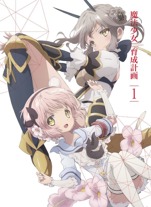 魔法少女育成计画(Lerche改编的电视动画)