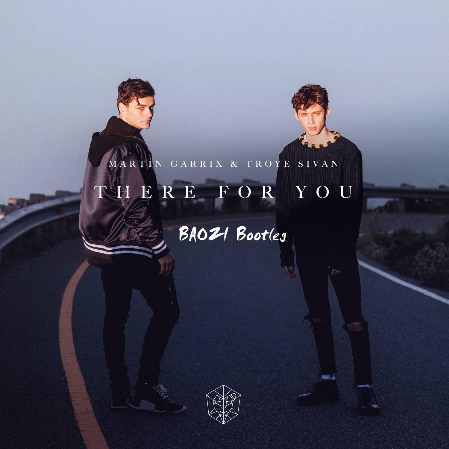 There For You(Martin Garrix / Troye Sivan)