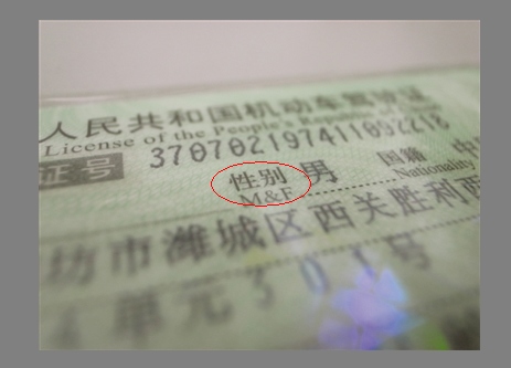 驾照雌雄同体