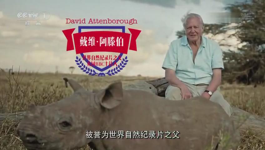 大卫·爱登堡