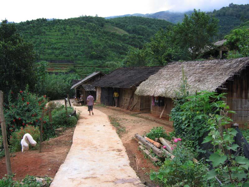 曼费村(景洪市嘎洒镇纳板村委会下辖村)