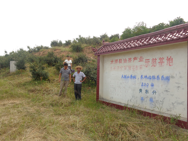 大明村 大明村