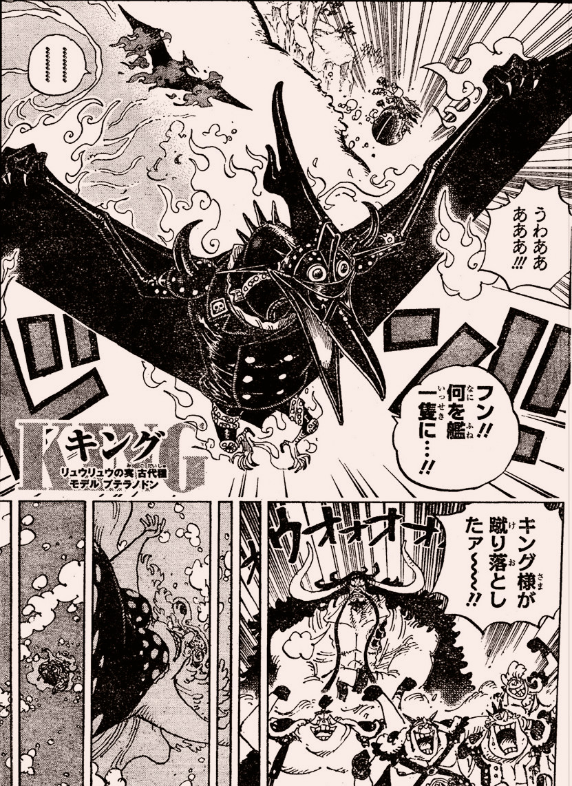 king(漫画《海贼王》中的角色)