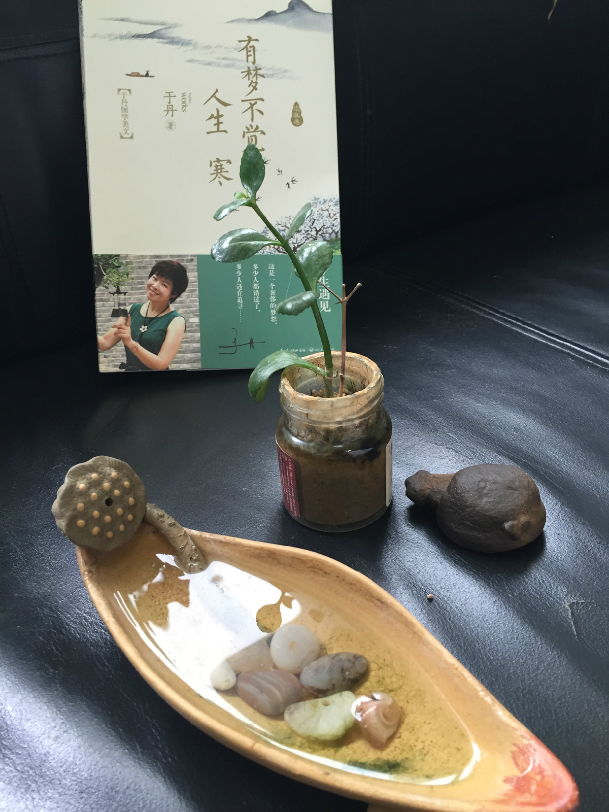 有梦不觉人生寒