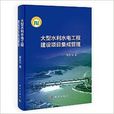 大型水利水电工程建设项目集成管理