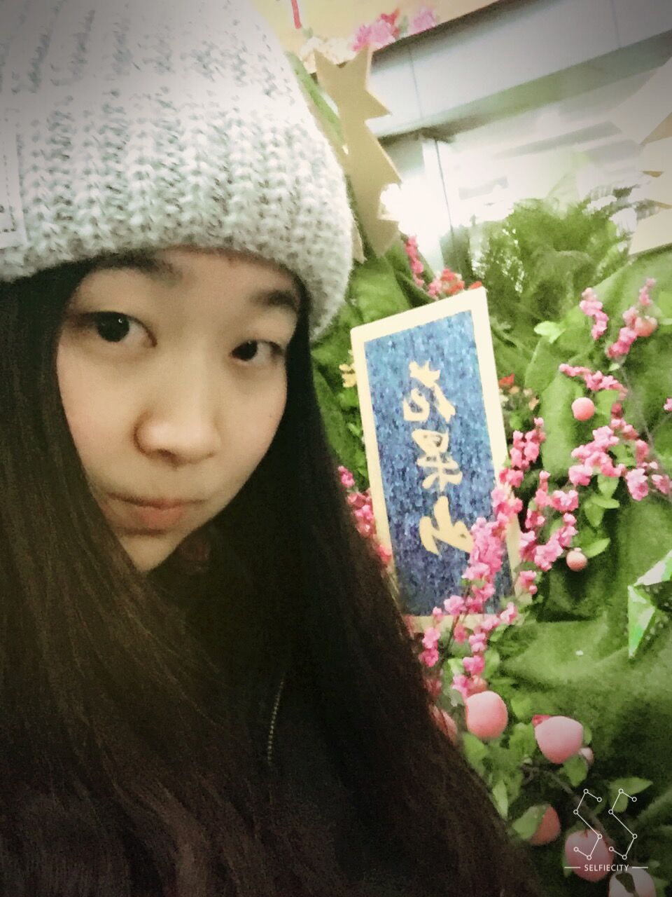 东北大学法语协会 东北大学法语协会