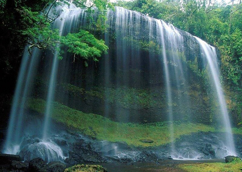 望天鹅风景区
