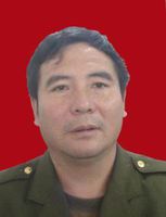 王中平 王中平