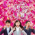 花咲舞无法沉默2