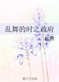 乱舞的时之政府 乱舞的时之政府