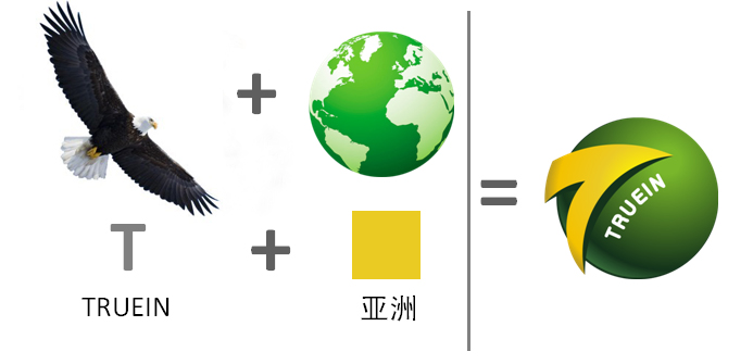 雏鹰标誌