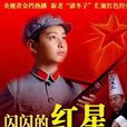 闪闪的红星(2007年李辉导演电视剧)