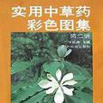 实用中草药彩色图集（第2册）