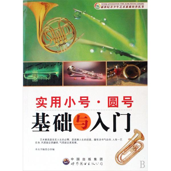 新世纪青少年艺术素质培养丛书：实用板胡基础与入门